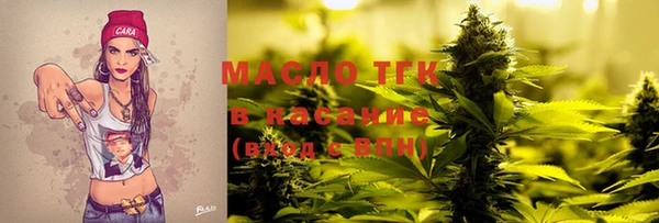 индика Армянск