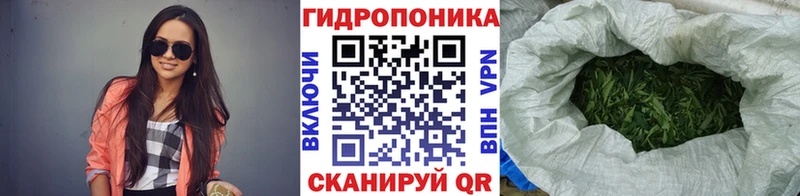 darknet как зайти  Кувандык  МАРИХУАНА сатива 